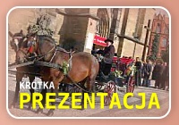 Dekoracje Zorza - któtka prezentacja